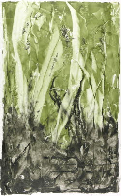 YuccaL 0002, Oil on paper, 56,5x36 / 90x60 (cm) (Private Collection)