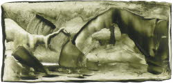 YuccaL 0151, Oil on paper, 22x41 / 45x60 (cm) (Private Collection)