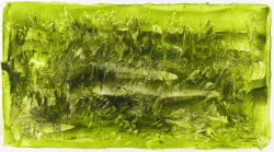 YuccaL 0177, Oil on paper,  28x48 / 60x70 (cm)